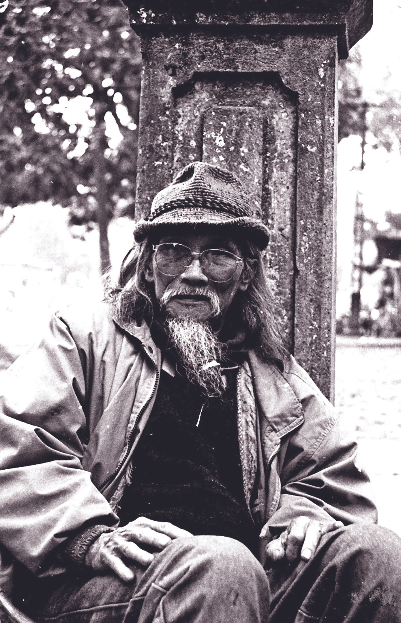 Chào Người màu tím hoa sim ảnh 1