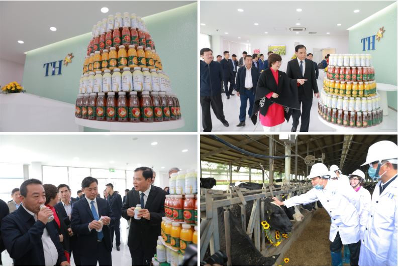 Doanh nhân Thái Hương: Cái tôi càng ít, thì càng đi được xa ảnh 10