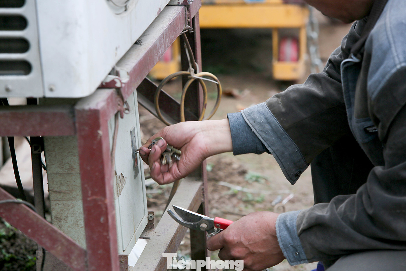 Thời tiết thất thường, đào Thất Thốn vào buồng điều hoà chờ Tết ảnh 8