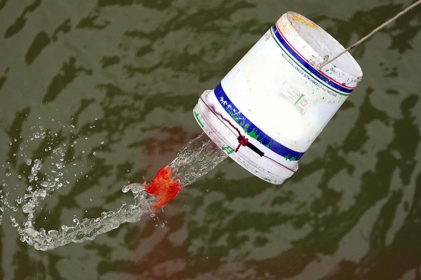 Người dân dùng ròng rọc thả cá chép tiễn ông Công ông Táo chầu trời ảnh 8