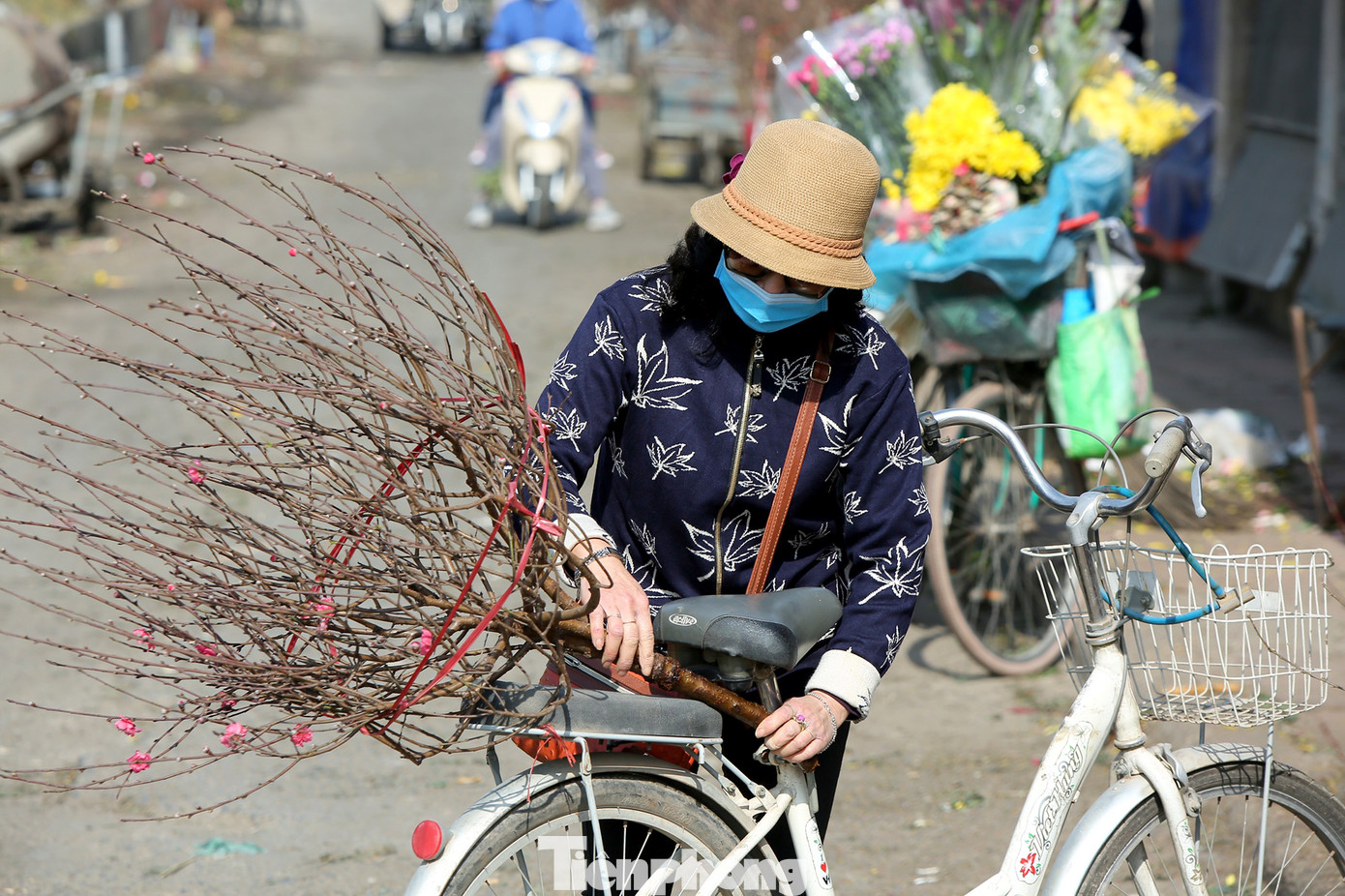 Đào Tết nở sớm đổ bộ khoe sắc phố phường ảnh 3