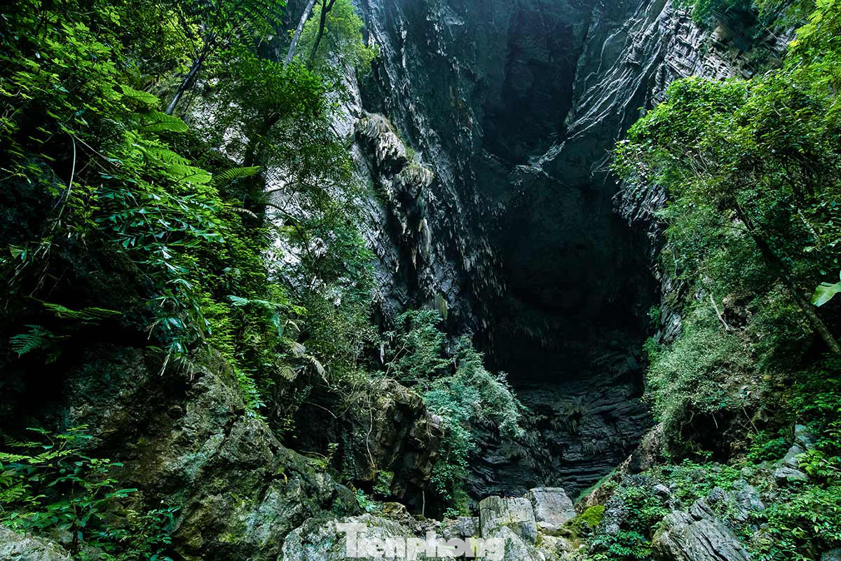 Trầm trồ kinh ngạc trước vẻ đẹp hang Tiên, Quảng Bình ảnh 2