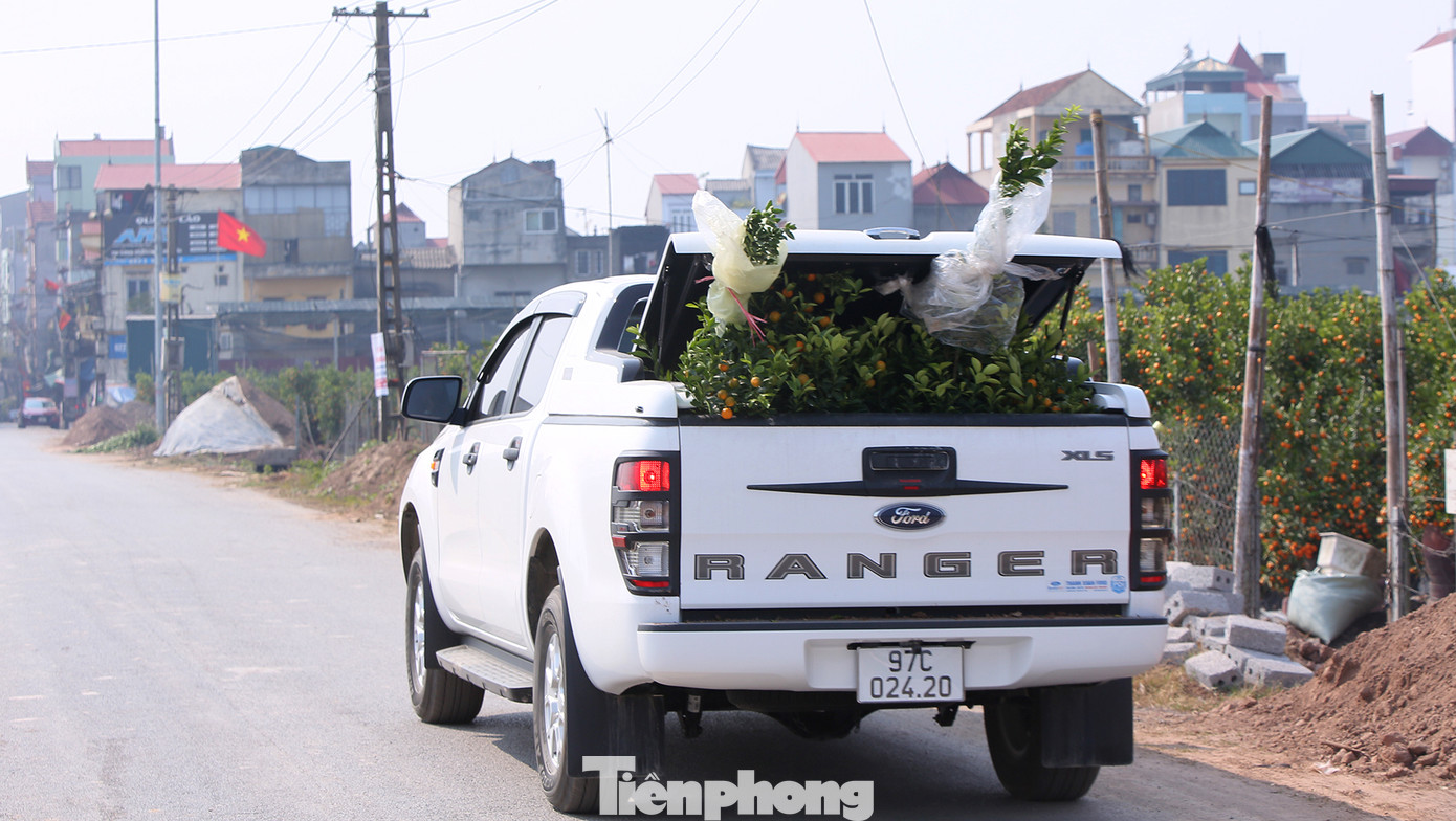 Vựa hoa cây cảnh lớn nhất miền bắc vào vụ Tết ảnh 11