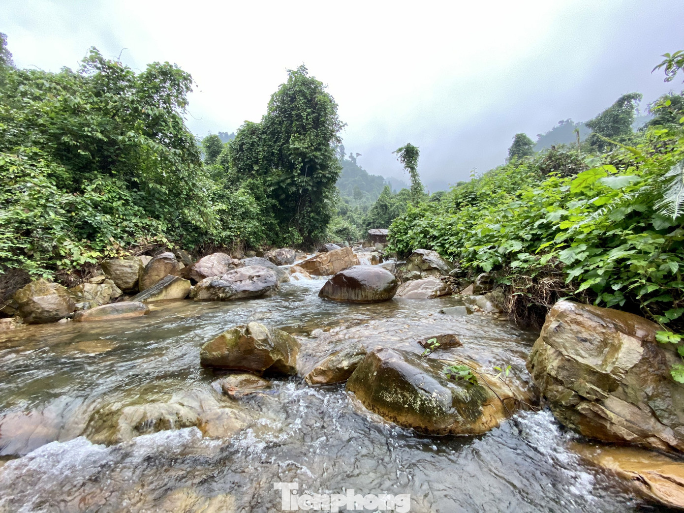 Trầm trồ kinh ngạc trước vẻ đẹp hang Tiên, Quảng Bình ảnh 11