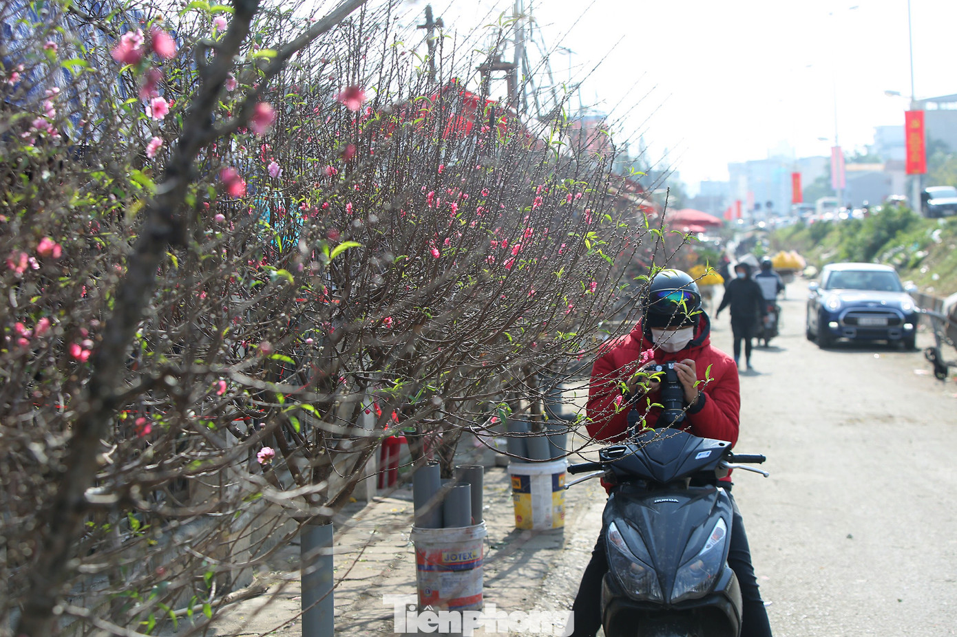 Đào Tết nở sớm đổ bộ khoe sắc phố phường ảnh 14