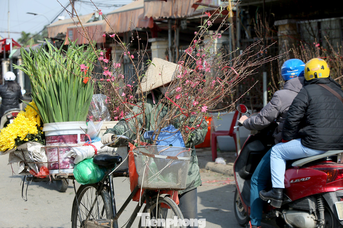 Đào Tết nở sớm đổ bộ khoe sắc phố phường ảnh 12
