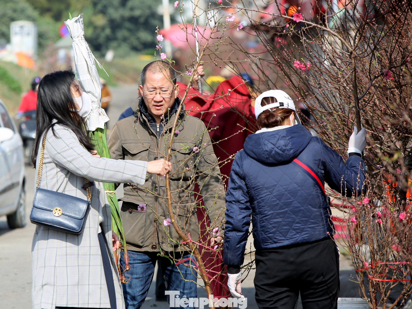 Đào Tết nở sớm đổ bộ khoe sắc phố phường ảnh 4