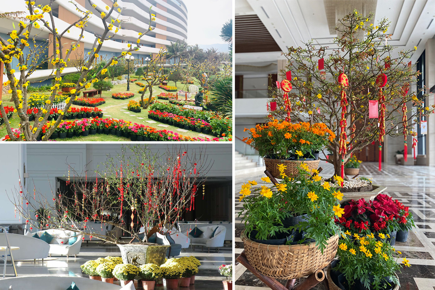 Đón Tết cổ truyền tại khách sạn 5 sao: trải nghiệm đặc biệt thu hút hàng vạn du khách ảnh 9