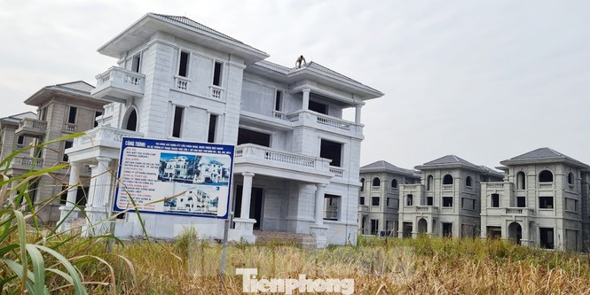 Lợi dụng quy hoạch thổi giá BĐS, trả nợ tiền sử dụng đất chậm thiệt tiền tỷ ảnh 1