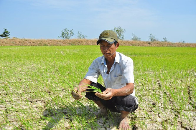 Nguy cơ 80.000 hộ dân 'khát' nước sinh hoạt do hạn mặn ảnh 1