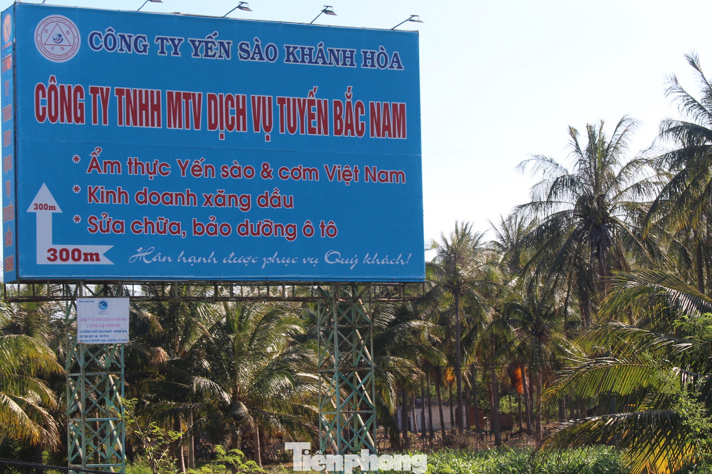 Sử dụng hàng trăm ha đất công không thuế: Bất ngờ chuyển đất nông nghiệp thành NƠXH ảnh 1