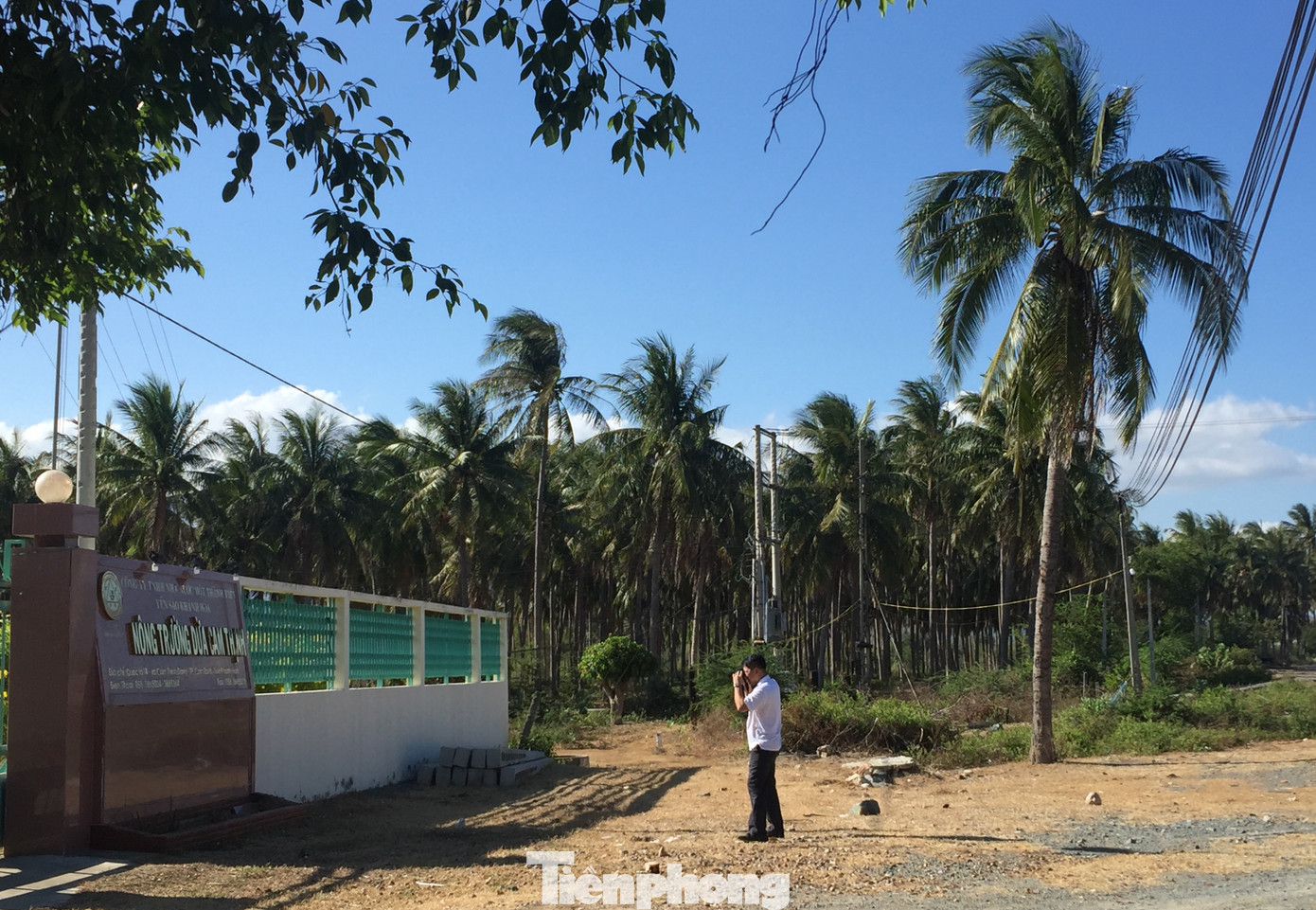 Sử dụng hàng trăm ha đất công không thuế: Bất ngờ chuyển đất nông nghiệp thành NƠXH ảnh 3