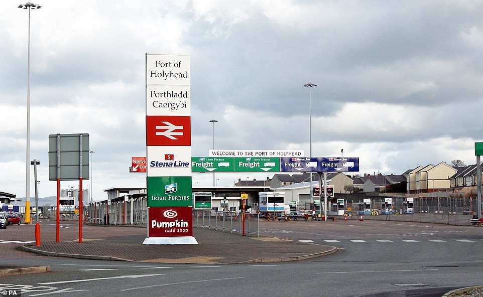 Bí ẩn cái chết của 39 người trong khoang lạnh xe container ảnh 3