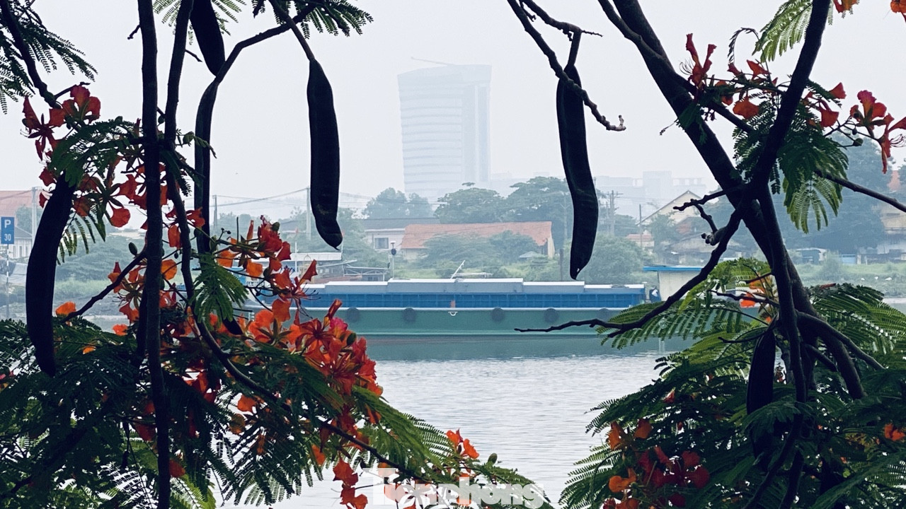 Bầu trời Sài Gòn âm u, chìm trong sương mù ảnh 8