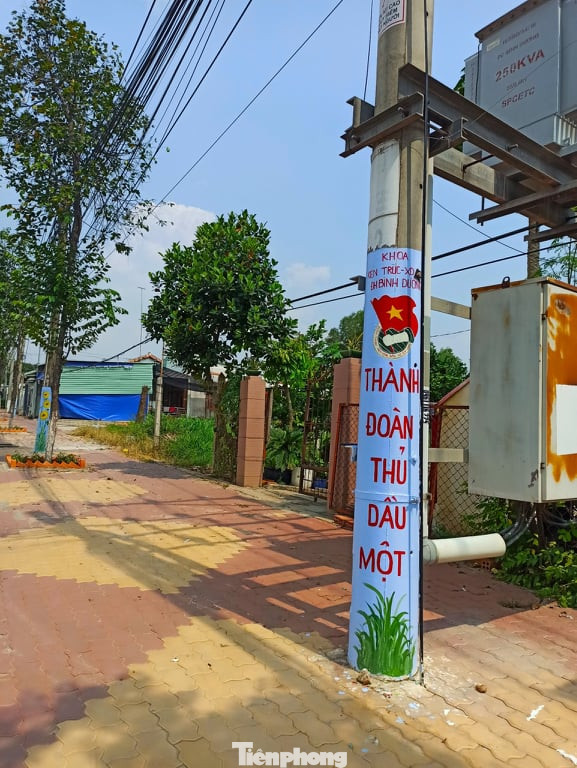 Tuổi trẻ Bình Dương ‘biến hình’ cột bê tông trong ngày Chủ nhật Xanh ảnh 5