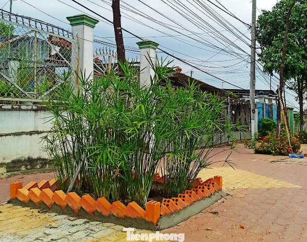 Tuổi trẻ Bình Dương ‘tô sắc’ đường phố dịp cuối tuần ảnh 10