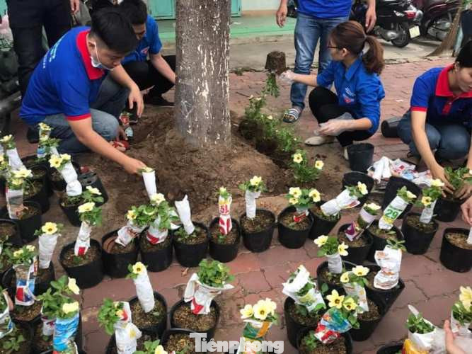 Tuổi trẻ Bình Dương ‘tô sắc’ đường phố dịp cuối tuần ảnh 1