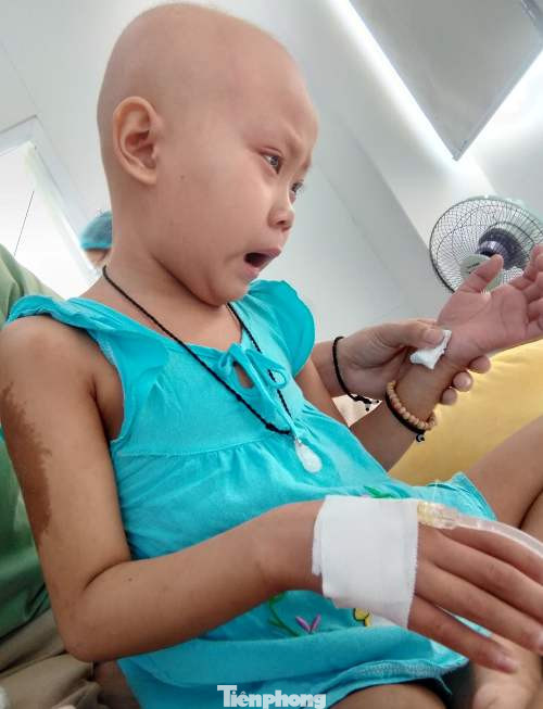 Xót thương bé gái bị ung thư máu cận kề hiểm nguy vì nhà hết tiền ảnh 2