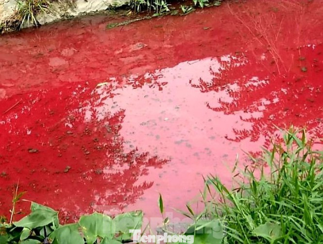 Nhiều sông, suối ở Bình Dương đang bị 'đầu độc'? ảnh 1