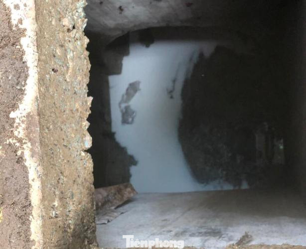 Tìm ra thủ phạm vụ 'tuyết’ phủ trắng suối ở Bình Dương ảnh 4