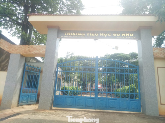 Giáo viên chỉ có bằng cấp 2 vẫn được dạy ở trường đạt chuẩn quốc gia ảnh 1