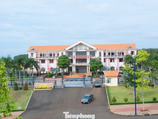 Ngoài Phó Bí thư huyện dùng bằng giả còn cán bộ nào sai phạm bị kỷ luật? ảnh 1