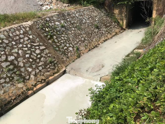 Tìm ra thủ phạm vụ 'tuyết’ phủ trắng suối ở Bình Dương ảnh 2