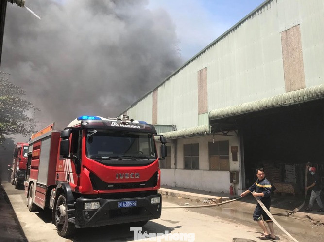 Công ty gỗ rộng 5.000m2 ở Bình Dương chìm trong biển lửa ảnh 3