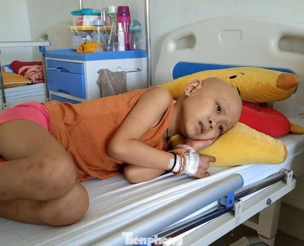 Xót thương bé gái bị ung thư máu cận kề hiểm nguy vì nhà hết tiền ảnh 3