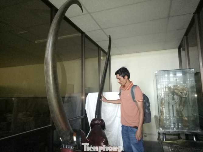 Cặp đĩa khổng lồ không bán chỉ có ở Bình Dương ảnh 5