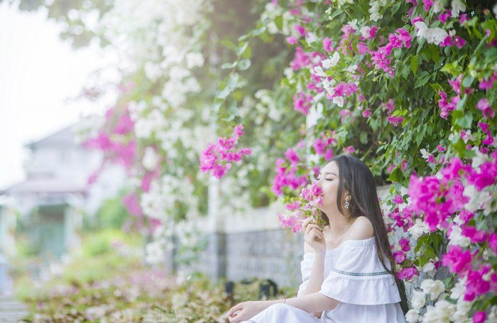 Kèn hồng và những mùa hoa rực rỡ ở TP.HCM ảnh 8