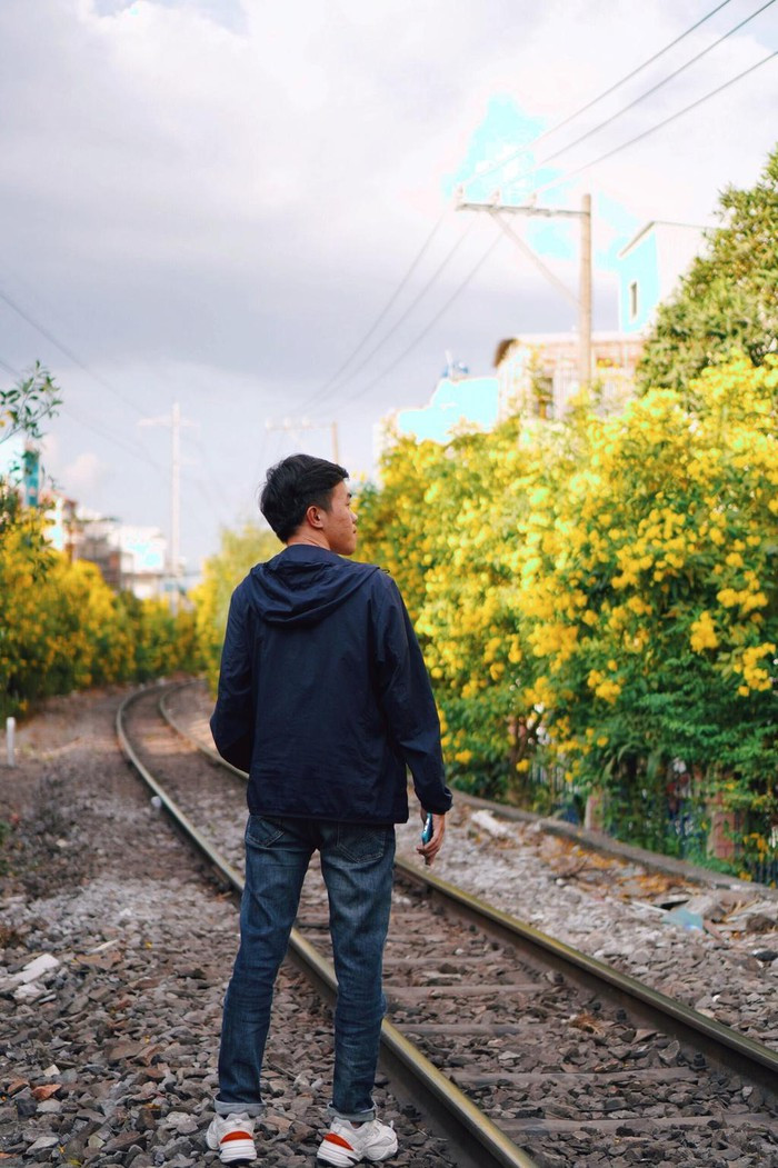 Kèn hồng và những mùa hoa rực rỡ ở TP.HCM ảnh 5