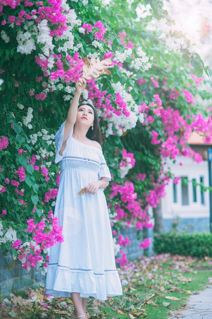 Kèn hồng và những mùa hoa rực rỡ ở TP.HCM ảnh 7