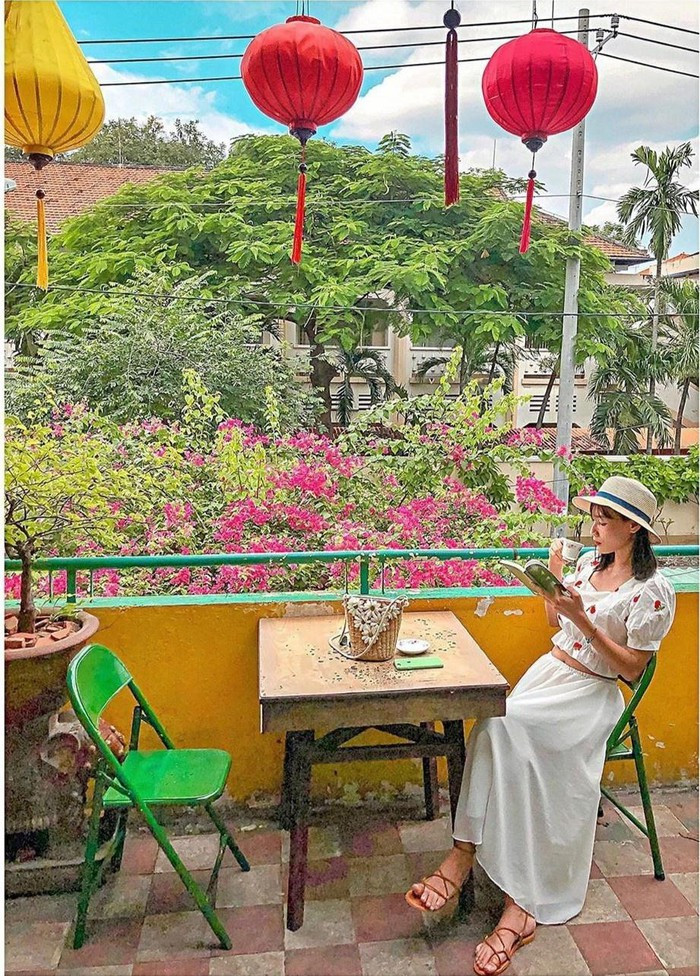 Kèn hồng và những mùa hoa rực rỡ ở TP.HCM ảnh 10