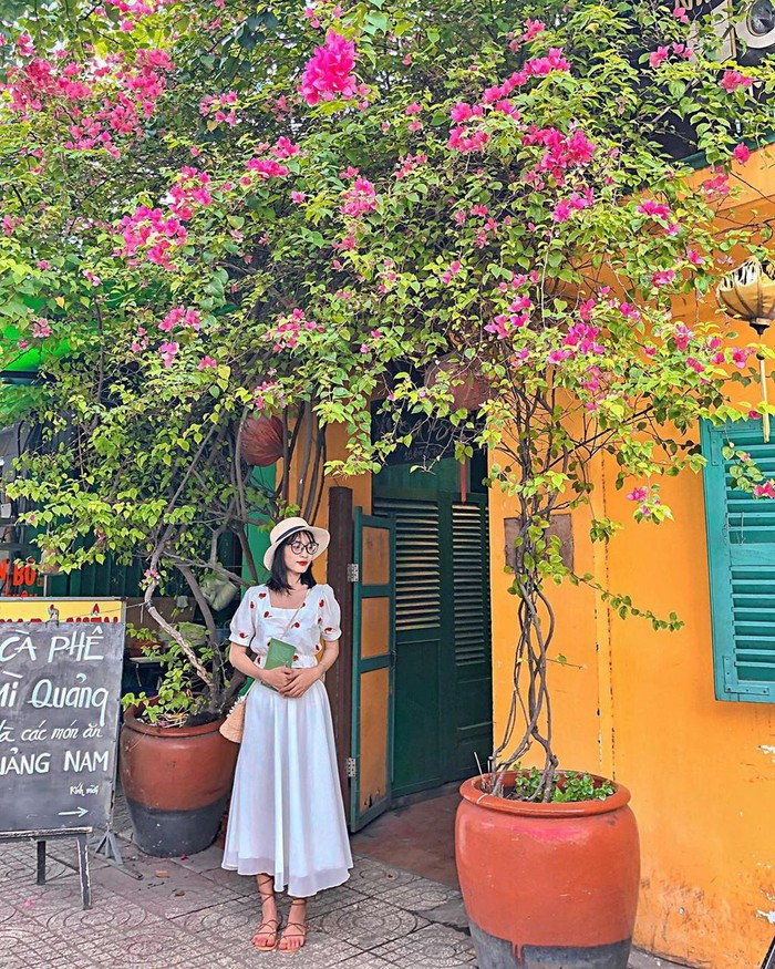 Kèn hồng và những mùa hoa rực rỡ ở TP.HCM ảnh 9