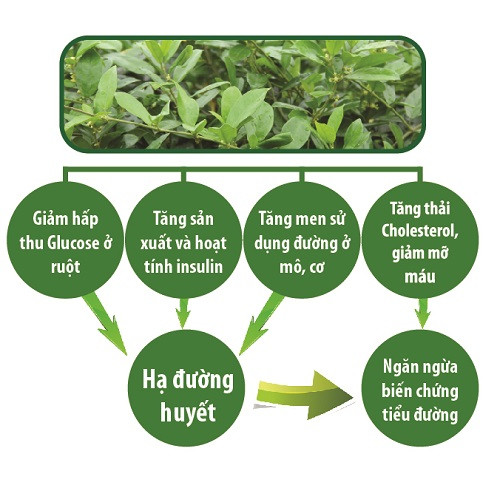 5 bí quyết vàng giúp người tiểu đường bảo vệ mình trong mùa dịch bệnh ảnh 4