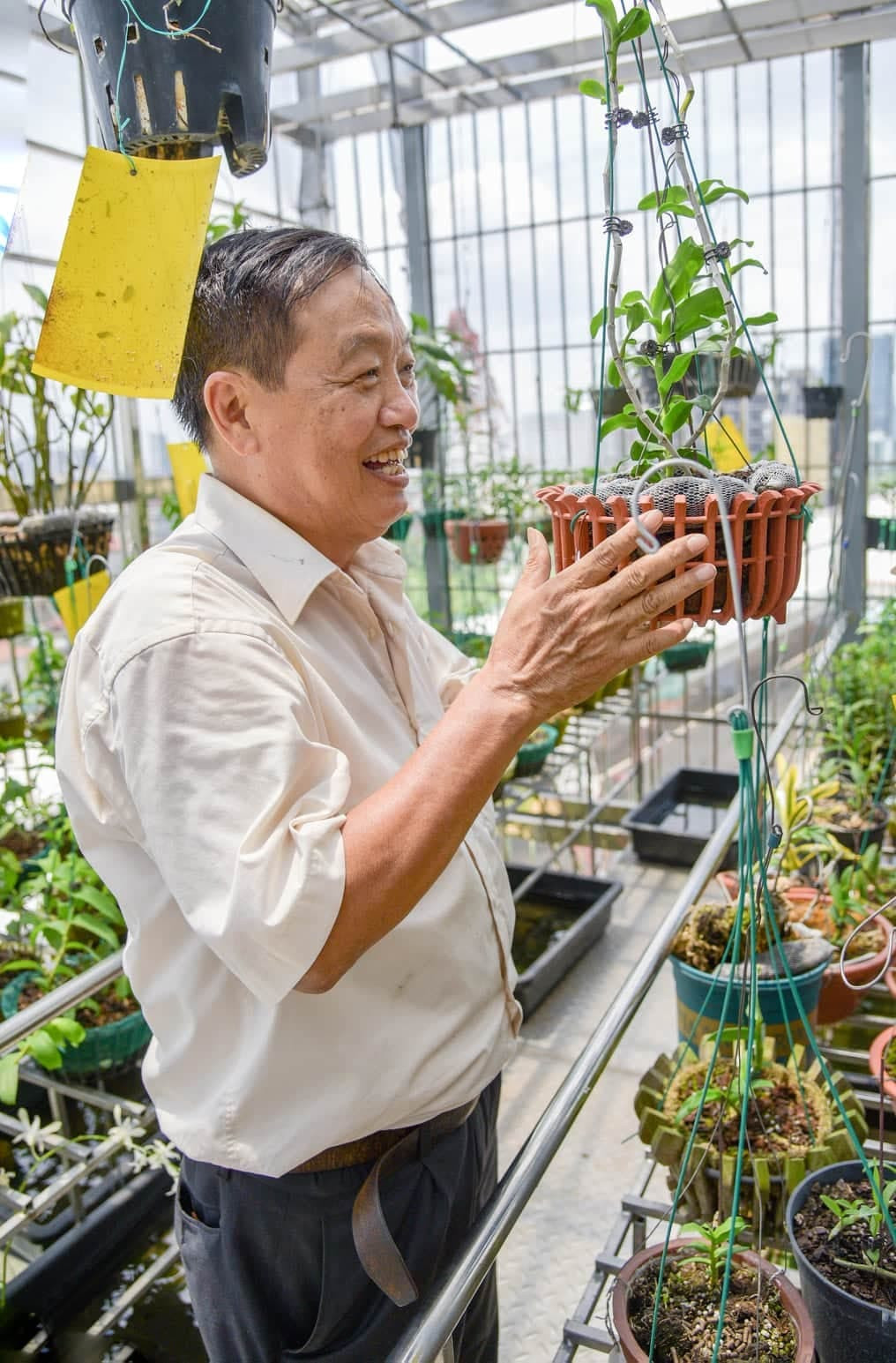 Giải mã hiện tượng hoa lan đột biến có giá trị hàng chục tỉ đồng ảnh 2