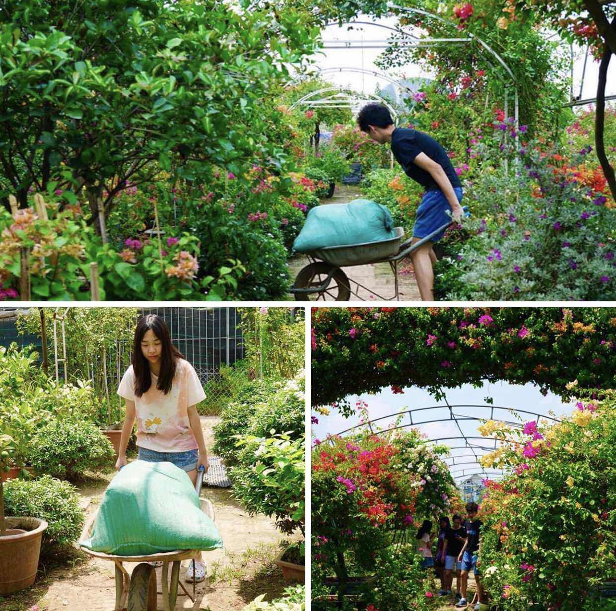 Dự án của học sinh Việt giành ngôi Vô địch cuộc thi Khởi nghiệp trẻ quốc tế ảnh 4