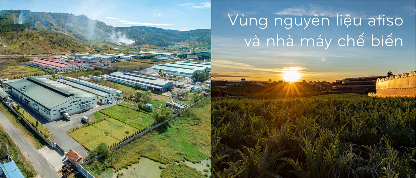 Chuyện làm kinh tế xanh ở xứ sở mộng mơ ảnh 2