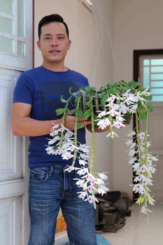 Giải mã hiện tượng hoa lan đột biến có giá trị hàng chục tỉ đồng ảnh 3