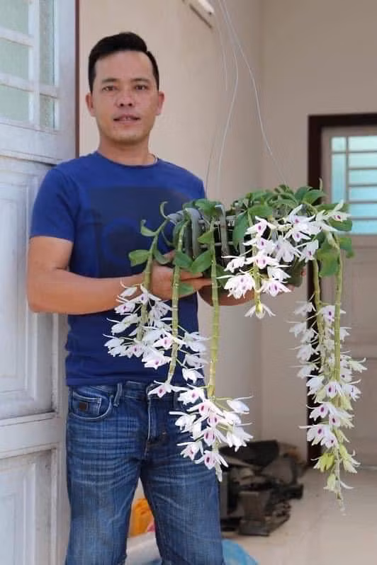 Giải mã hiện tượng hoa lan đột biến có giá trị hàng chục tỉ đồng ảnh 3