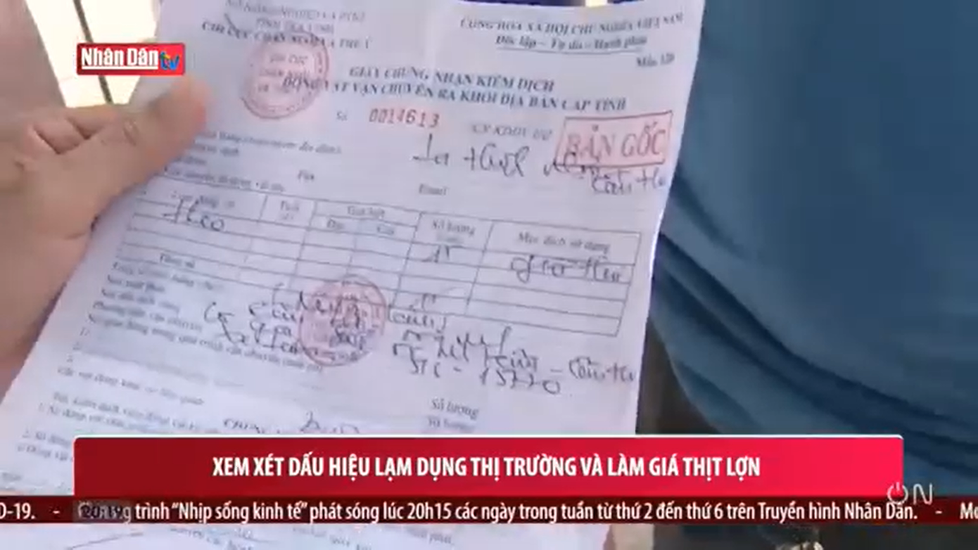 Xem xét dấu hiệu lạm dụng thị trường và làm giá thịt lợn ảnh 1