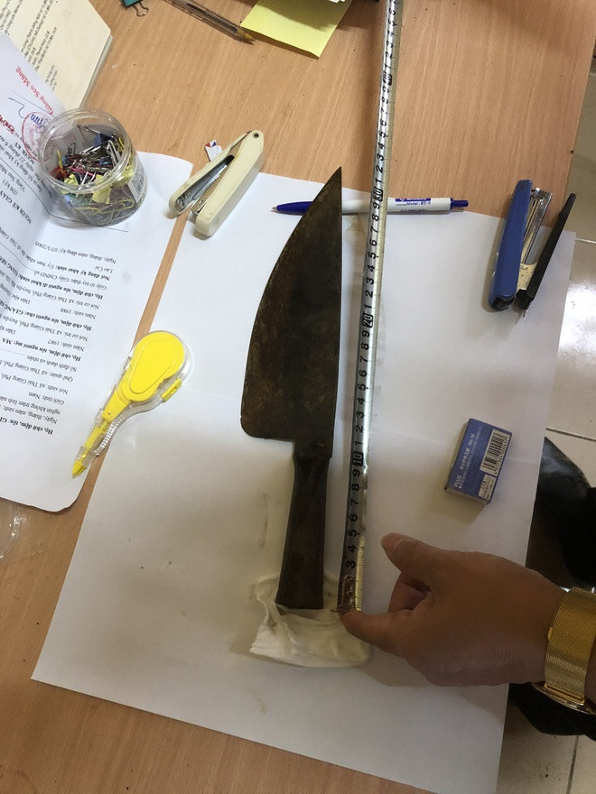 Lời khai của nghi phạm giết người bằng 29 nhát dao ảnh 1