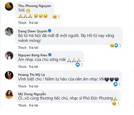 Nghệ sĩ Việt bàng hoàng, tiếc thương nhạc sĩ Phó Đức Phương ảnh 2