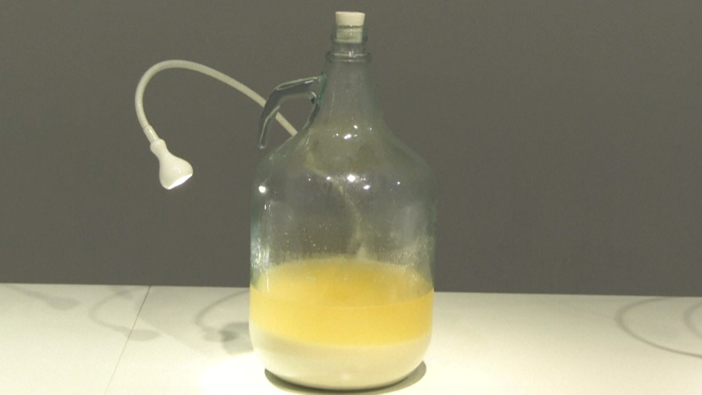 Rùng mình với những thức uống làm từ phân người, ủ trong bồn cầu ở Thuỵ Điển ảnh 2