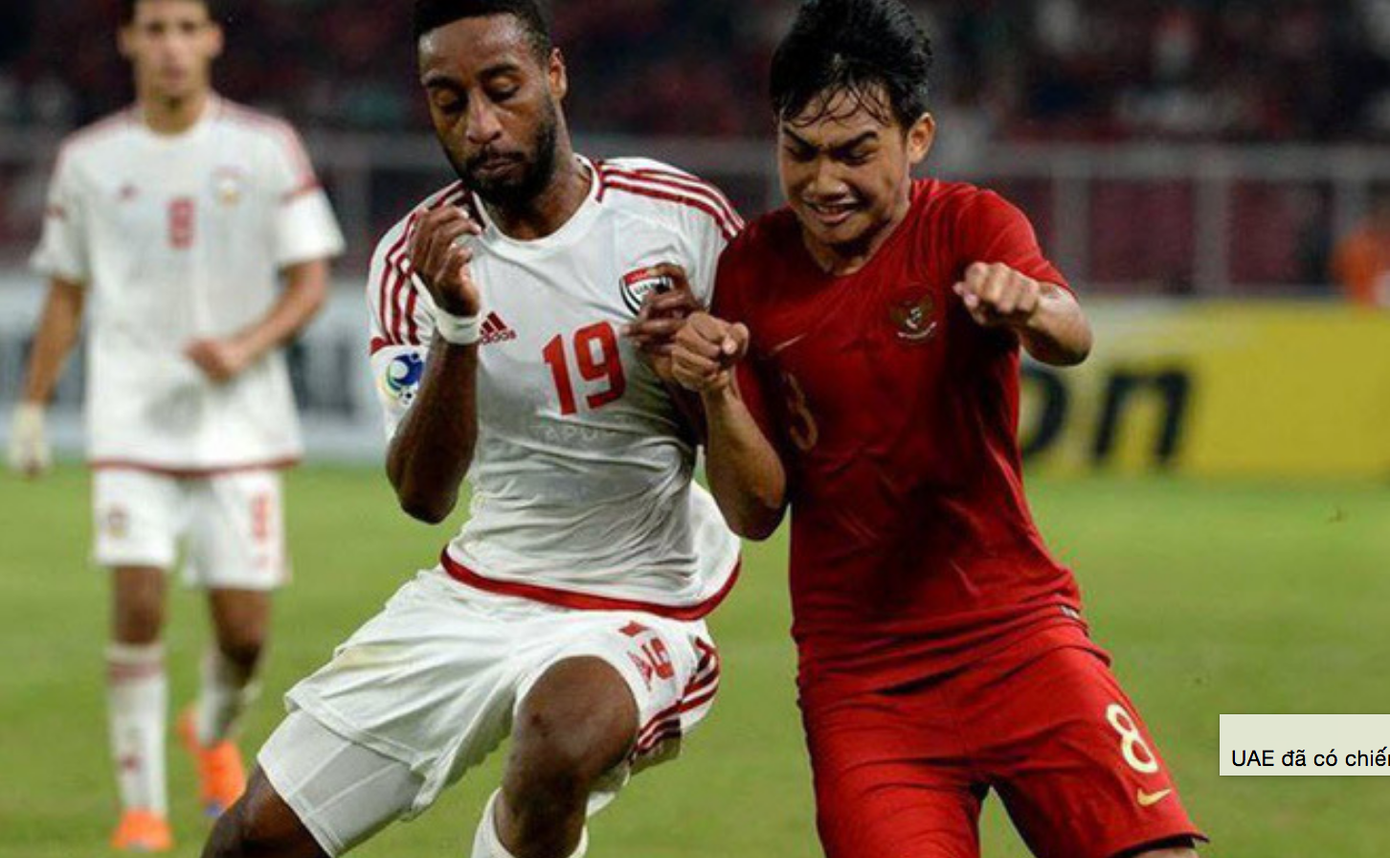 Ông Park Hang Seo có thể khiến HLV Indonesia mất việc ảnh 1