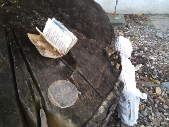 Đau đớn tìm hũ cốt người thân ở chùa Kỳ Quang 2, thấy bài vị-di ảnh vứt khắp nơi ảnh 8