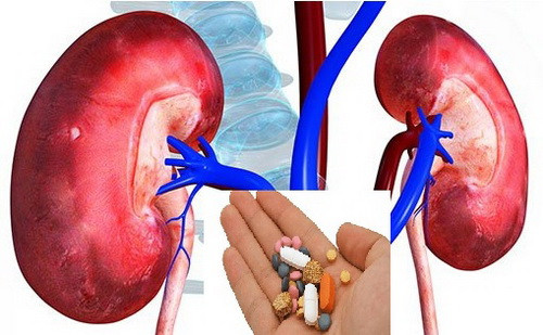 Thuốc giảm đau paracetamol có thể gây tổn thương thận Thuốc giảm đau paracetamol và giảm đau đông y: Nên sử dụng như thế nào thì tốt? ảnh 2