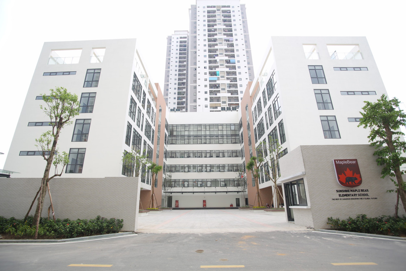 Sunshine Maple Bear dạy trực tuyến cho học sinh tại nhà giữa dịch Covid - 19 ảnh 1