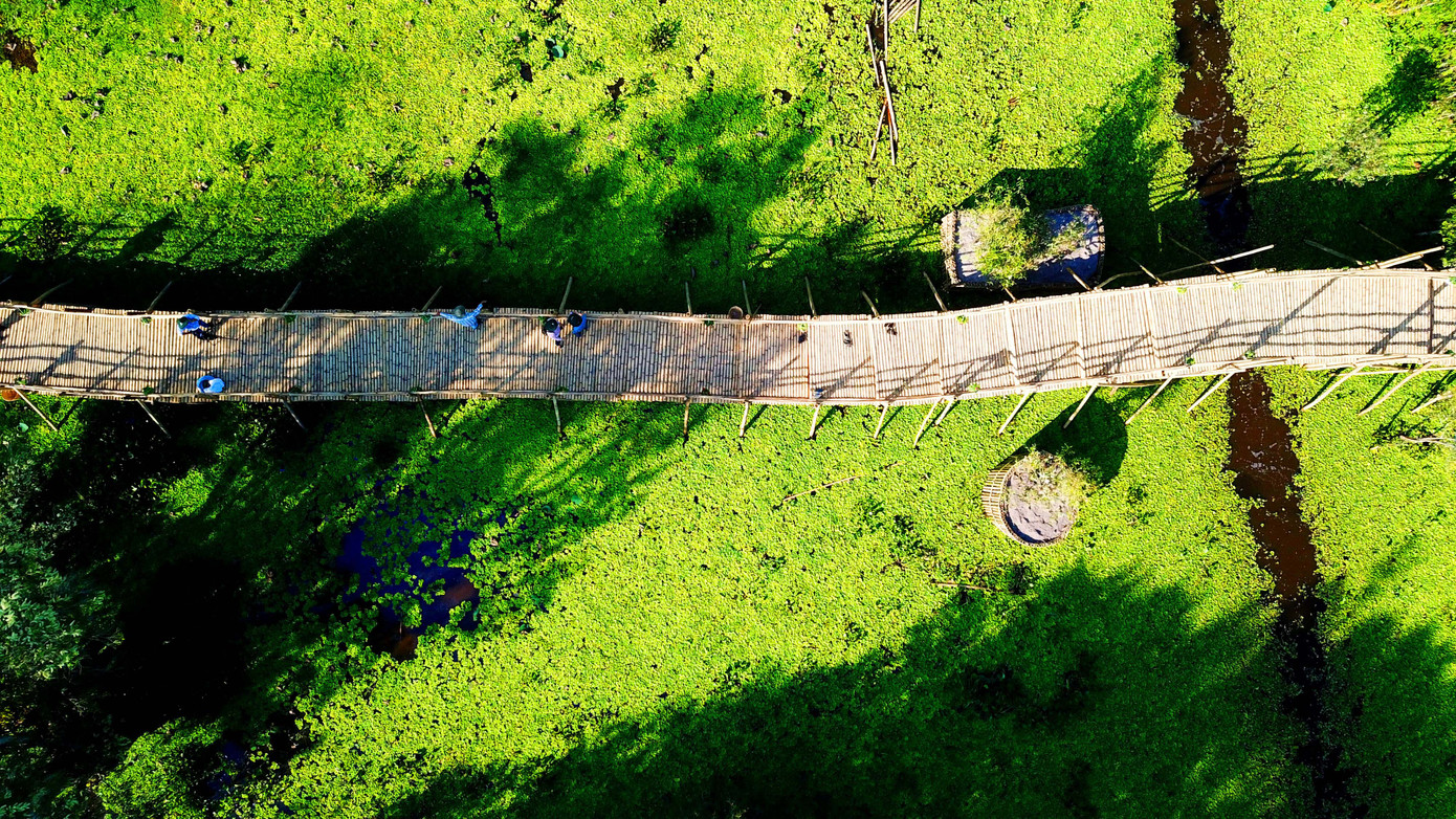 Kiệt tác giữa rừng ảnh 1